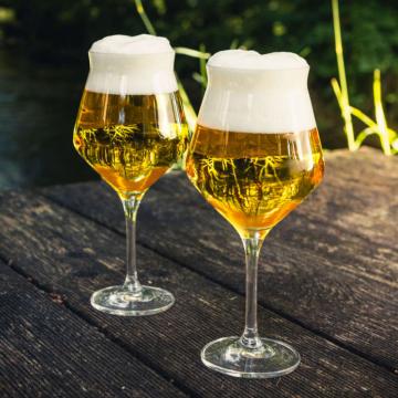 EISCH Germany Set di 2 Bicchieri da Whisky di Malto - Jeunesse, 1 set -  Interismo